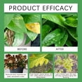 thumbnail image 6 of 32Oz Plant Boost Liquid Nutrient, Highly Concentrated Organic Plant Food With Balanced Nutrients To Enhance Growth, Boost Yield And Strengthen Root System For Indoor & Outdoor, 6 of 9