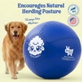 thumbnail image 2 of Herding Ball Race&Herd 30 Original XXL para perros, color azul, 2 of 9