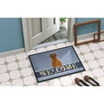 thumbnail image 2 of Carolines Treasures BB5663MAT Briard Brown Welcome Door Mat Indoor Rug or Outdoor Welcome Mat 18x27 Doormat  27"L x 18"W, 2 of 4