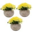 thumbnail image 1 of 3 piezas de mini plantas artificiales en macetas de imitación de césped verde, 1 of 8