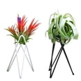 thumbnail image 4 of OFFIGAM 2Ud Tripod Para Plantas Con Moderno Para Espacios De Jardinería, 4 of 7