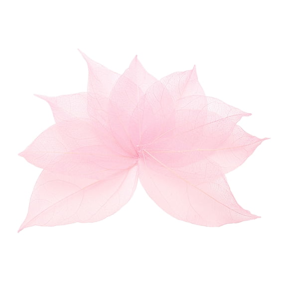 100 Pcs Hojas Esqueléticas Rosa Claro, 2"- 3" Hojas Prensadas de Árbol de Caucho para Álbumes de Fotos Manualidades