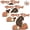 3PC, variant on Protect Punch the Monkey Sticker, Cute Monkey Holding Plush Toy Sticker, Waterproof Monkey Stuffed Animal Plush Stickers for Laptop Water Bottle Phone Car Room Decor