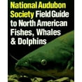 thumbnail image 1 of Pre-Owned National Audubon Society Field Guide to Fishes, Whales and Dolphins (Vinyl Bound) 0394534050 9780394534053, 1 of 1