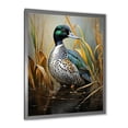 thumbnail image 2 of Designart "Dappled Drake at the Pond I" Animals Framed Wall Art - Traditional Blue Duck Entryway Framed Wall Art Print, 2 of 6