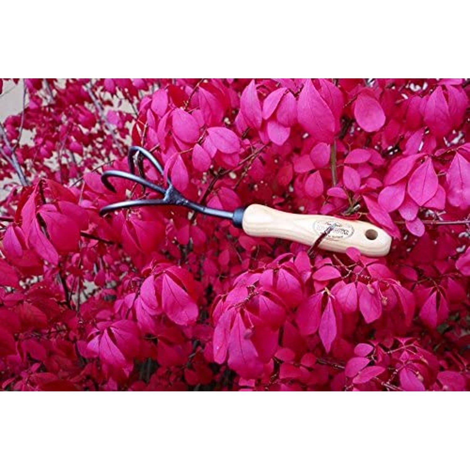 DeWit 3-Tine Cultivator, Aerates Soil with Boron Steel and Ash Wood Handle, 11.5 inches long