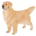 thumbnail image 1 of FELTECHELECTR Figura de Golden Retriever vívida, imitación de perro, adorno con diseño de animales, 1 of 6
