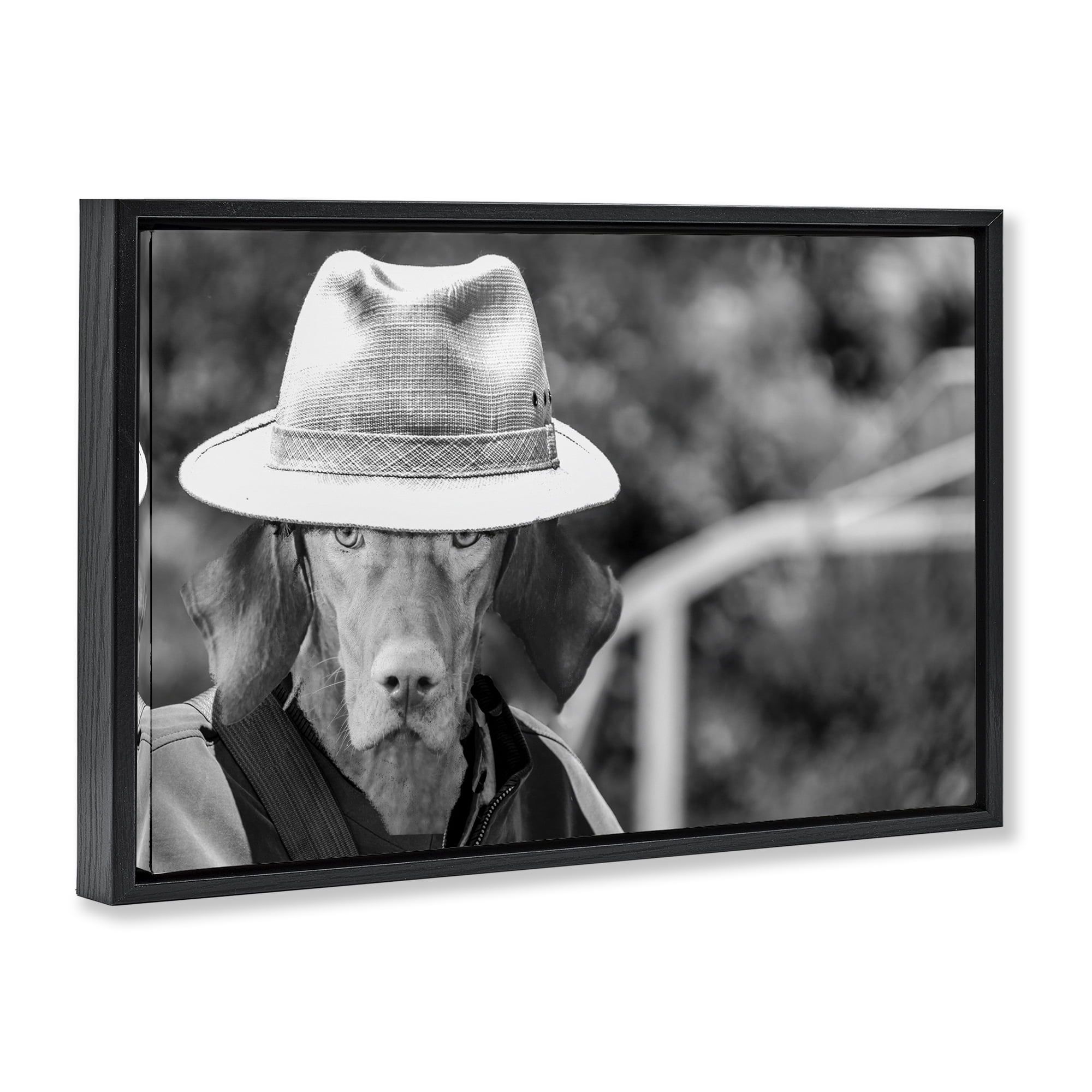 Stupell Industries Country Cowboy Dog Animals & Insects Photography Black Floater Framed Canvas Art Print Wall Art, 25 x 17