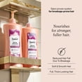 thumbnail image 2 of Suave Biotin Infusion Strengthening Shampoo for Breakage Prone Hair, 28 FL OZ, 2 of 8
