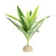 thumbnail image 1 of Planta de agua artificial artificiales de exterior exterior exterior real para acuarios se describe, 1 1 Salvador  Reptil Vivarium Plant, 1 of 10