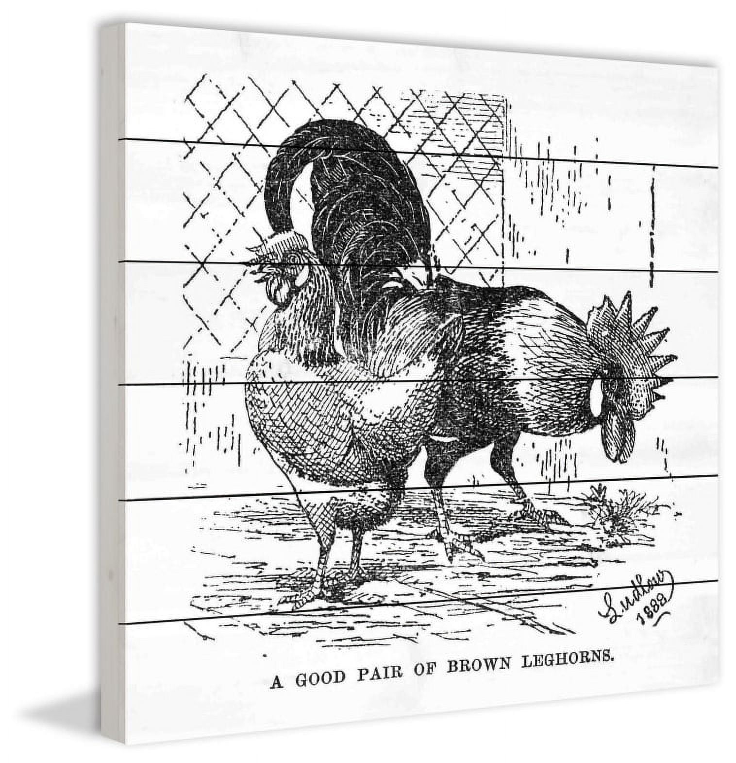Marmont Hill "Brown Leghorns" Painting Print on White Wood