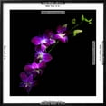thumbnail image 5 of Art.com Purple Dendrobium Orchids Photographic Print by Magda Indigo, Black Frame Wall Art, 29" x 29", 5 of 5