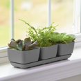 thumbnail image 3 of Root & Vessel Majestic Herb & Succulent Trio Planter, Gray, 3 of 4