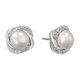 thumbnail image 1 of Zircon Encrusted Earrings for Women, Combining Comfort and Glamour, 1 of 2