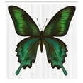 thumbnail image 3 of Ambesonne Swallowtail Shower Curtain, Exotic Green, 69"Wx84"L, Olive Green Jade Green, 3 of 3