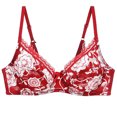 thumbnail image 3 of Conjunto de lencería para mujer Sujetador y bragas de encaje sexy Conjunto de lencería fina de verano Fridja nalpqowj39782, 3 of 8