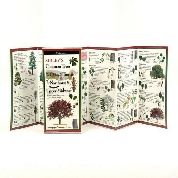 FoldingGuides: Sibley's Common Trees in the Cities & Towns of the Northeast & Upper Midwest (Other)