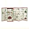 FoldingGuides: Sibley's Common Trees in the Cities & Towns of the Northeast & Upper Midwest (Other)