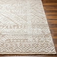 thumbnail image 2 of BoutiqueRugs Enfys Bohemian, Transitional Area Rug - Bone, Multi Brown, Cloud Gray - 2' x 3', 2 of 5