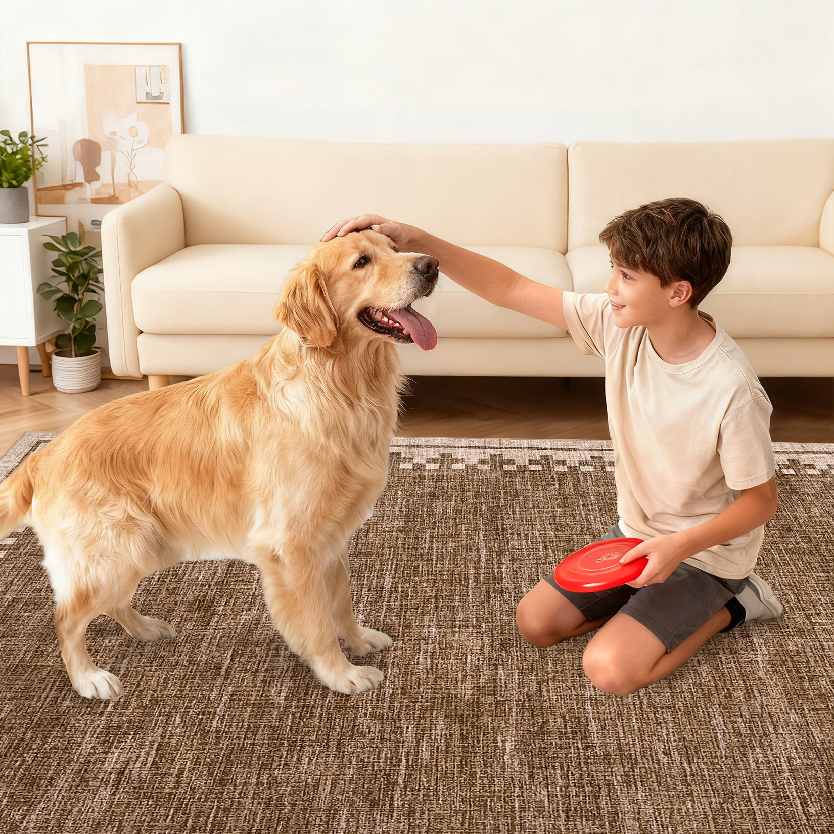COZONY 5'x7' Modern Bordered Area Rug, Non-Slip Washable Low Pile Soft Carpet for Bedroom & Living Room, Brown