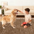 thumbnail image 6 of COZONY 5'x7' Modern Bordered Area Rug, Non-Slip Washable Low Pile Soft Carpet for Bedroom & Living Room, Brown, 6 of 8
