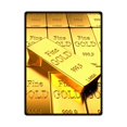 thumbnail image 1 of RYLABLUE Gold Coin Fleece Blanket Throws 58x80 inches, 1 of 3
