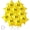 12pcs, variant on 12PCS Star Foil Balloons Super Gold Coin Balloon Yellow Star Balloons for Video Game Themed Birthday Party Decorations for Boys Girls Party Supply