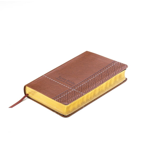 Santa Biblia de Promesas Reina-Valera 1960 / Tamaño Manual / Letra Grande / Piel Especial / Café // Spanish Promise Bible Rvr60 / Handy Size / Large Print / Leathersoft / Brown (Other)