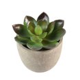 thumbnail image 3 of 5pcs Decorative Faux Succulent Artificial Succulent Fake Simulation Plants with Pots, 3 of 5