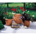 thumbnail image 4 of Bloem AP1227 Ariana 12 Inch Self Watering Plastic Flowerpot Planter, Calypso, 4 of 4