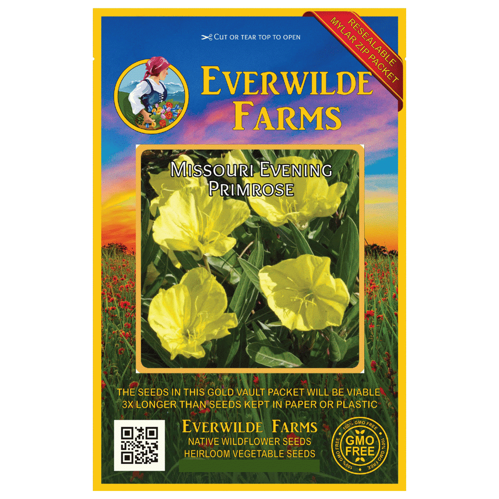Everwilde Farms 400 Missouri Evening Primrose Native Wildflower Seeds