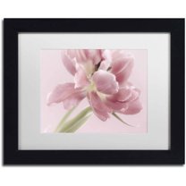 Trademark Fine Art 'Soft Pink Tulip' Canvas Art by Cora Niele, White Matte, Black Frame