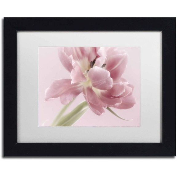 Trademark Fine Art 'Soft Pink Tulip' Canvas Art by Cora Niele, White Matte, Black Frame