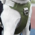 thumbnail image 1 of EIMELI Breathable And Reflective Chest Harness  Suitable For Medium And Large Dogs  And Can Be Used For Daily Training Vest Harnesses, 1 of 6