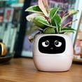 thumbnail image 1 of Smart Ai Plant Pot, Intelligent Flower Pot, Ai Planter, Intelligent Flowerpots with 7 Smart Sensors, Maintenance Plant Assistant, Fun Interactive Flower Pot for Indoor Decoration, 1 of 7