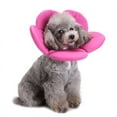 thumbnail image 3 of PENGXIANG Pet Cat Dog Flower Neck Collar Anti Bite Beauty Adjustable Protector Cover Ring, 3 of 5