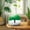 Green-Free Size/GN, variant on FHBVT Indoor Automatic Aromatherapy Machine Home Scent Diffuser Oil Atomizer Silent Deodorization 5 Stage Timing Large Capacity for Home Store Hotel Office Lobby Wedding Venue Scent Distribution