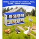 thumbnail image 5 of QinaQin Caja nido para gallinas de 6, 8 o 10 huecos, fabricada en acero galvanizado resistente al óxido, fácil recolección de huevos y limpieza, 5 of 7