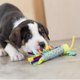 thumbnail image 3 of Juguete para Perros Pet Stages Azul Cool Teething Stick, 3 of 8