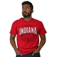 thumbnail image 5 of Indiana IN Student Campus Pride Men's Graphic T Shirt Tees Brisco Brands S, 5 of 6