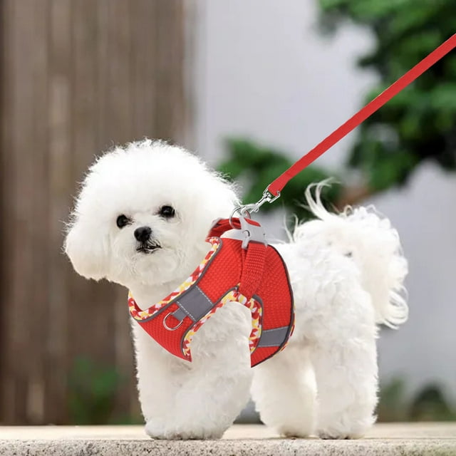 Riforla 1 PCS Dog Harness for Small Medium Large Dogs No Pull Puppy Harness and Leash Set Dog Harness for Walking Running Training Small Dog Harness Medium Dog Harness Chest Strap F XXS
