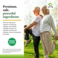 thumbnail image 5 of Terry Naturally Arthocin - Boswellia Serrata Capsules with Devil's Claw & Curcumin - Supplement to Support Joint & Spine Health - Herbal Supplement Aids Comfort & Absorption - 60 Capsules (Pack of 2), 5 of 7