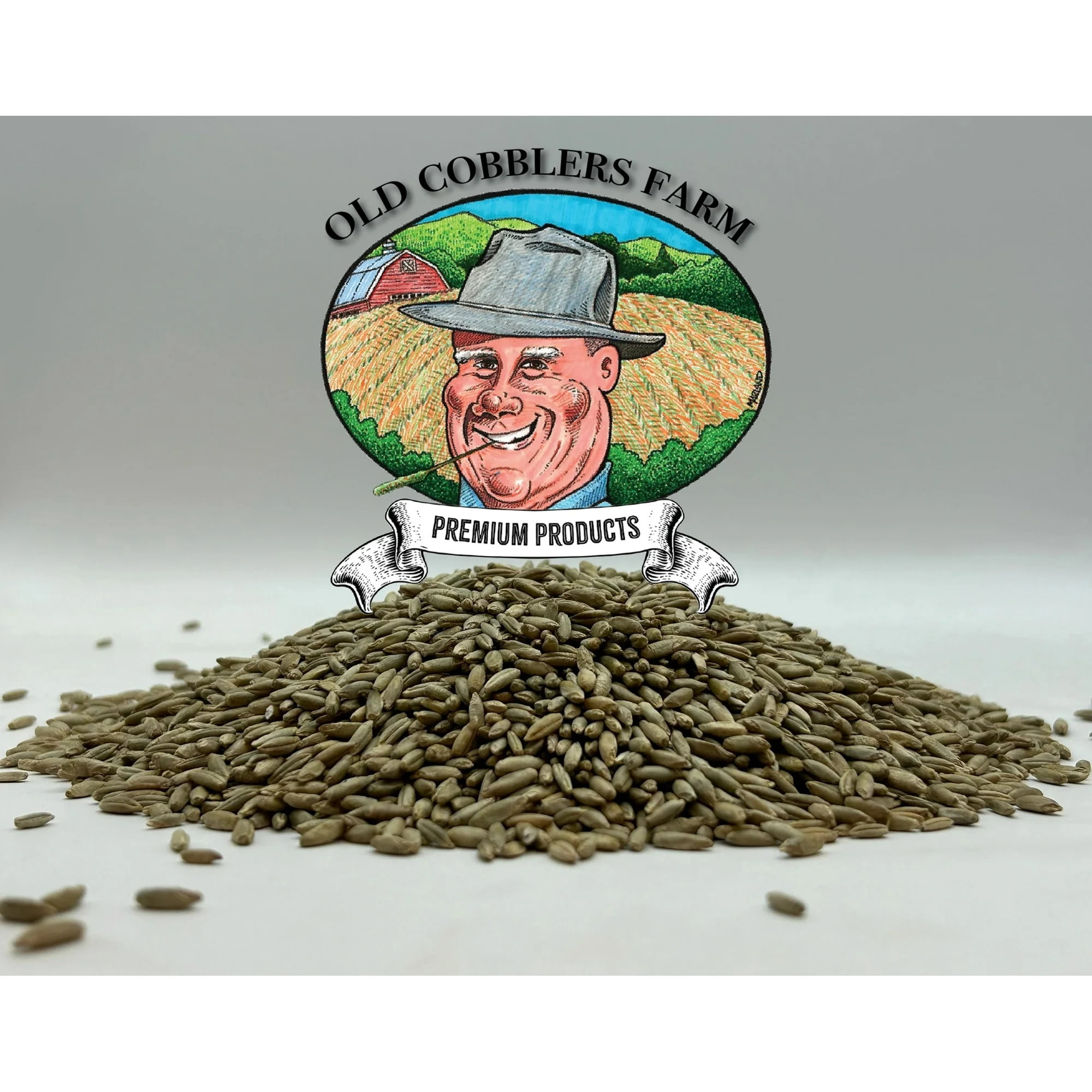 Winter Rye Seeds – The Ultimate Cover Crop for Healthy Soil, Weed Control, and Erosion Prevention – 20 lbs by Old Cobblers Farm