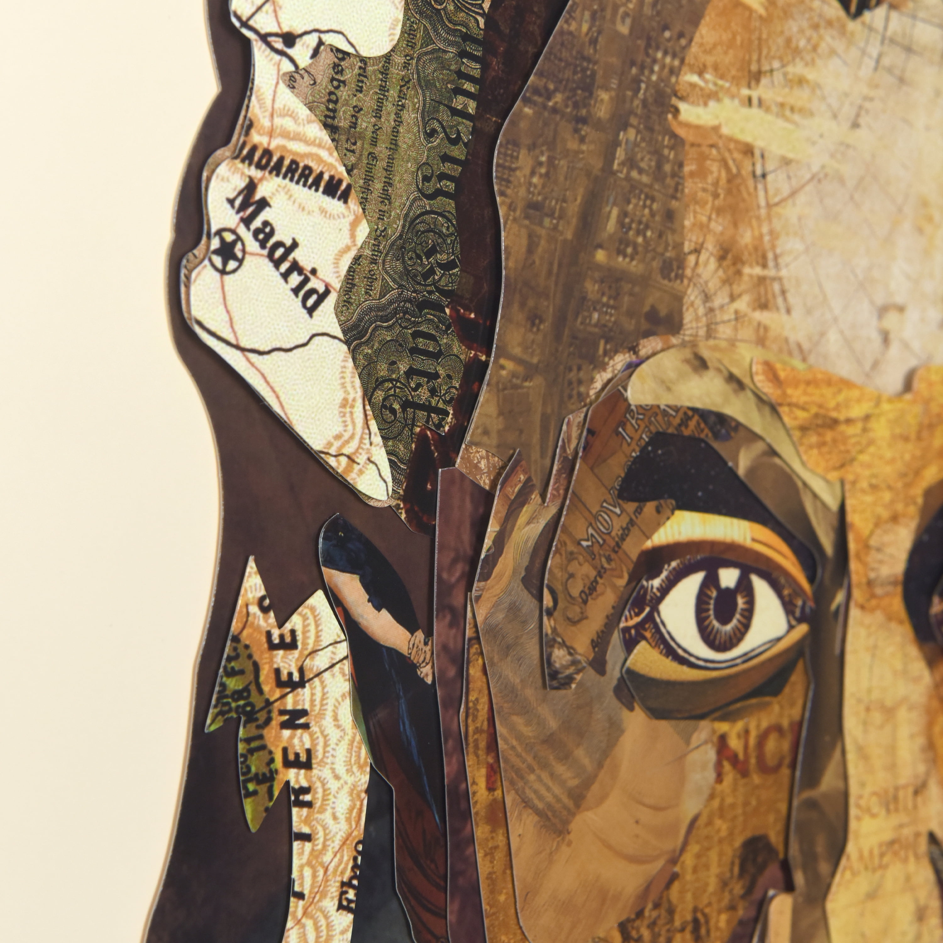 "Einstein" Alex Zeng’s dimensional collage, under glass & a black shadow box frame