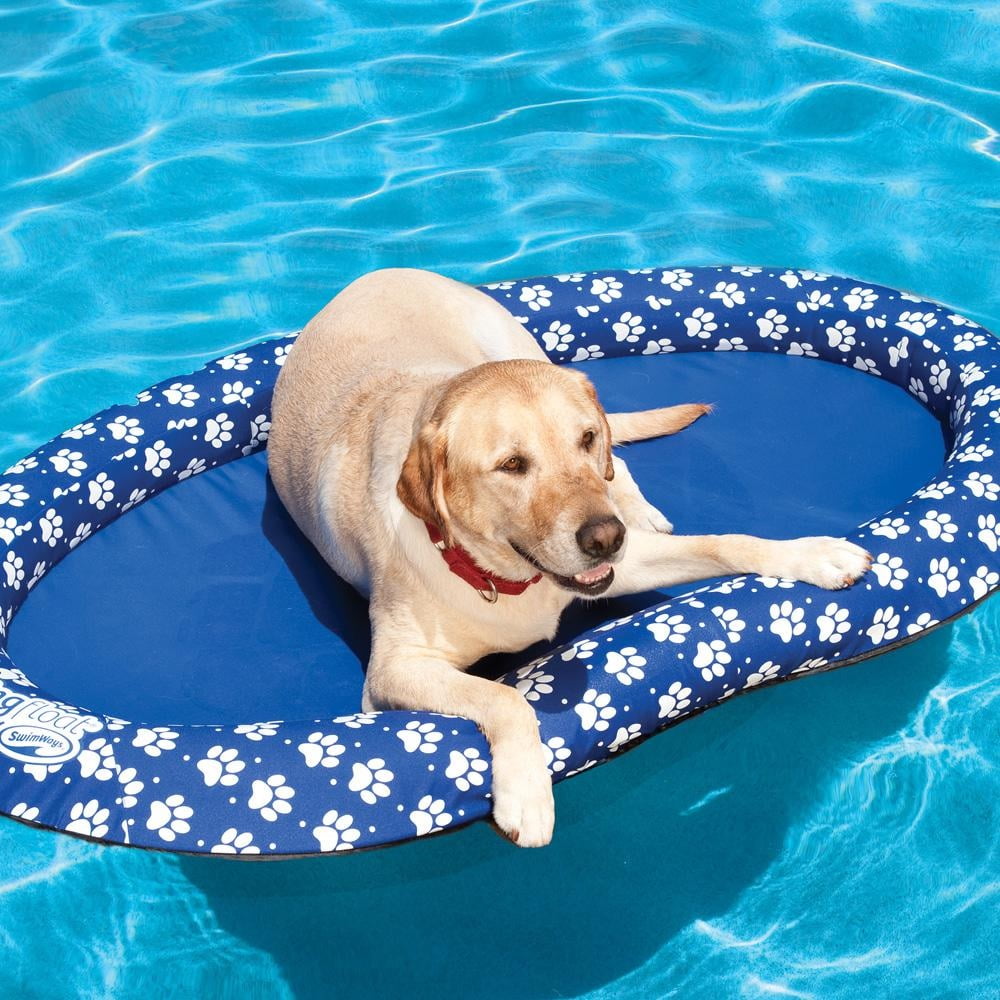 Large Blue and White Paw Print Paddle 