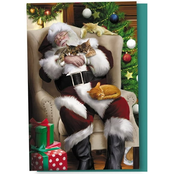 Tree-Free Greetings Christmas Cards and Envelopes, Set of 12, 4" x 6", Cat Nap Santa (FS93513)
