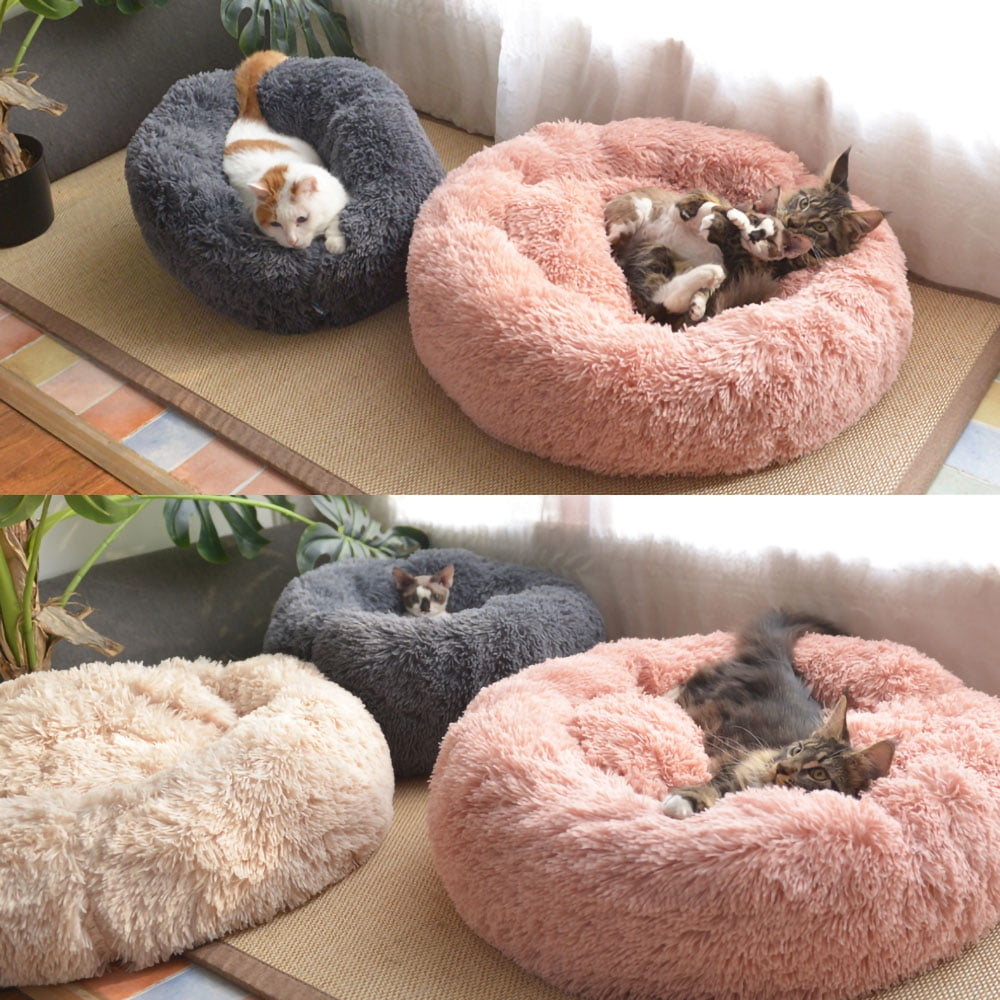 soft plush cat