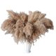 thumbnail image 1 of 30 tallos de hierba de pampa seca, hierba de pampa silvestre, flores de pampa esponjosas, decoración de hierba de pampa a granel de 17 pulgadas, 1 of 5