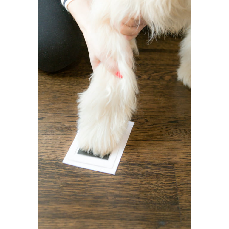 Pearhead Pet Paw Print Clean-Touch Ink Pad