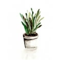thumbnail image 3 of Chapman, Marcy 12x12 Black Modern Framed Museum Art Print Titled - Potted Botanicals III, 3 of 5
